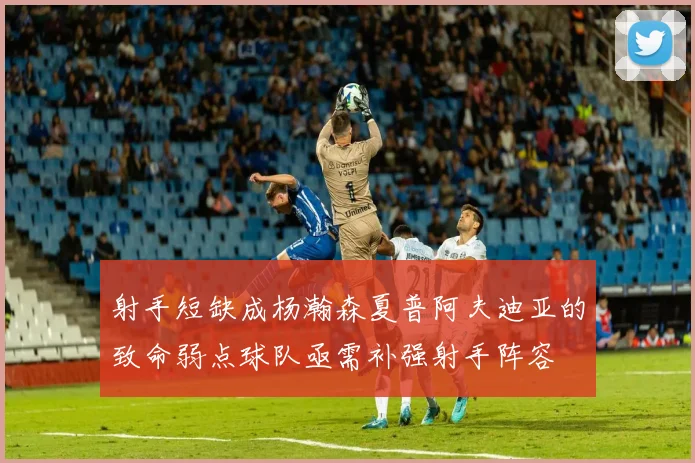 射手短缺成杨瀚森夏普阿夫迪亚的致命弱点球队亟需补强射手阵容